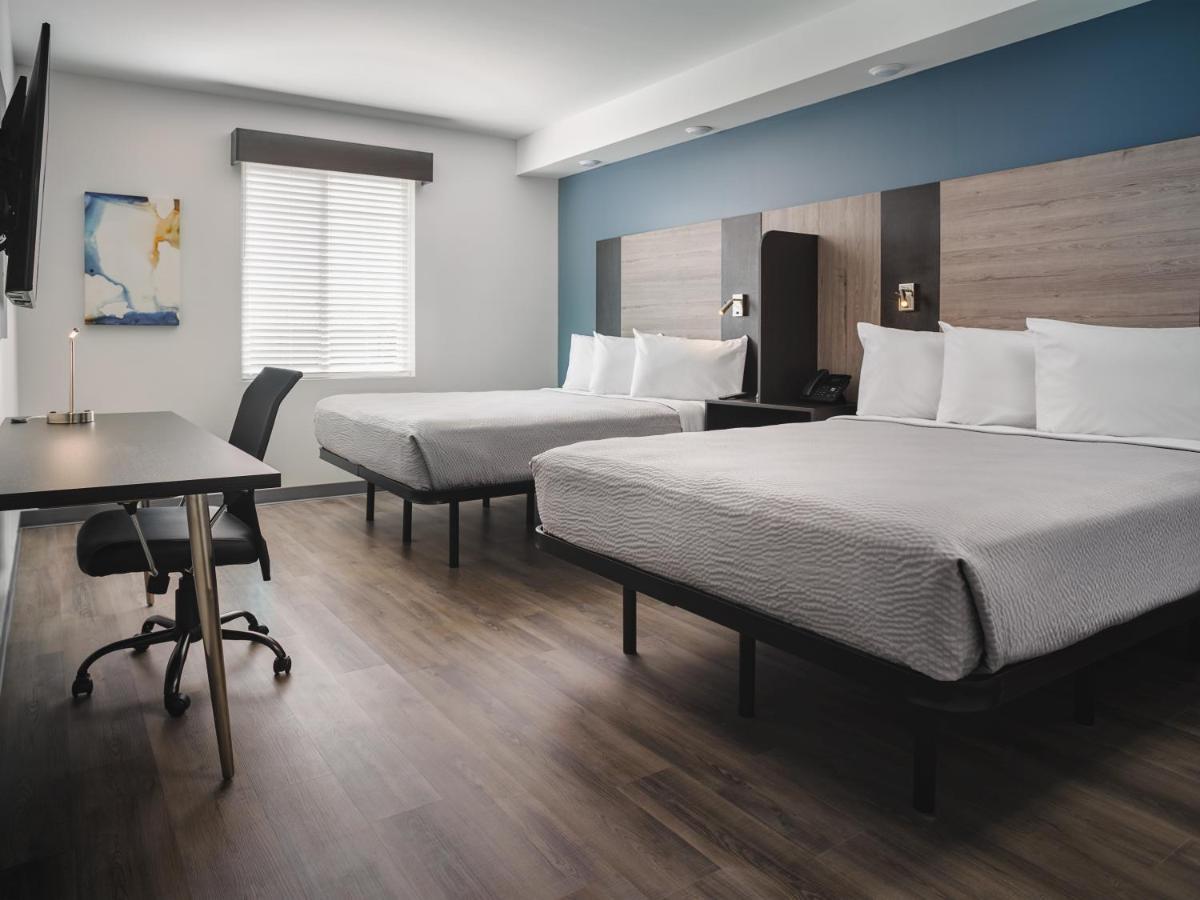 Stayapt Suites San Antonio-Randolph Live Oak Экстерьер фото